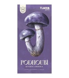 Podhoubí - Severní Amerika