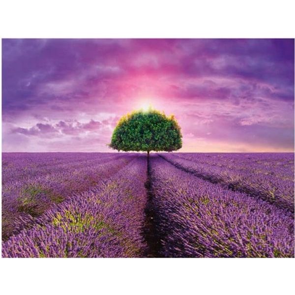 Puzzle Levandulové pole 2000d