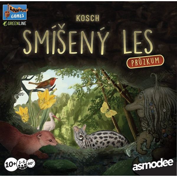 Smíšený les - Průzkum