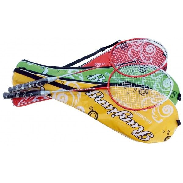 Badminton De Luxe