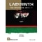 Labyrinth: The Awakening, 2010-?