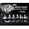 Náhradní tým Nashville Predators