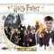 Harry Potter: Rok v Bradavicích