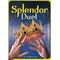 Splendor Duel