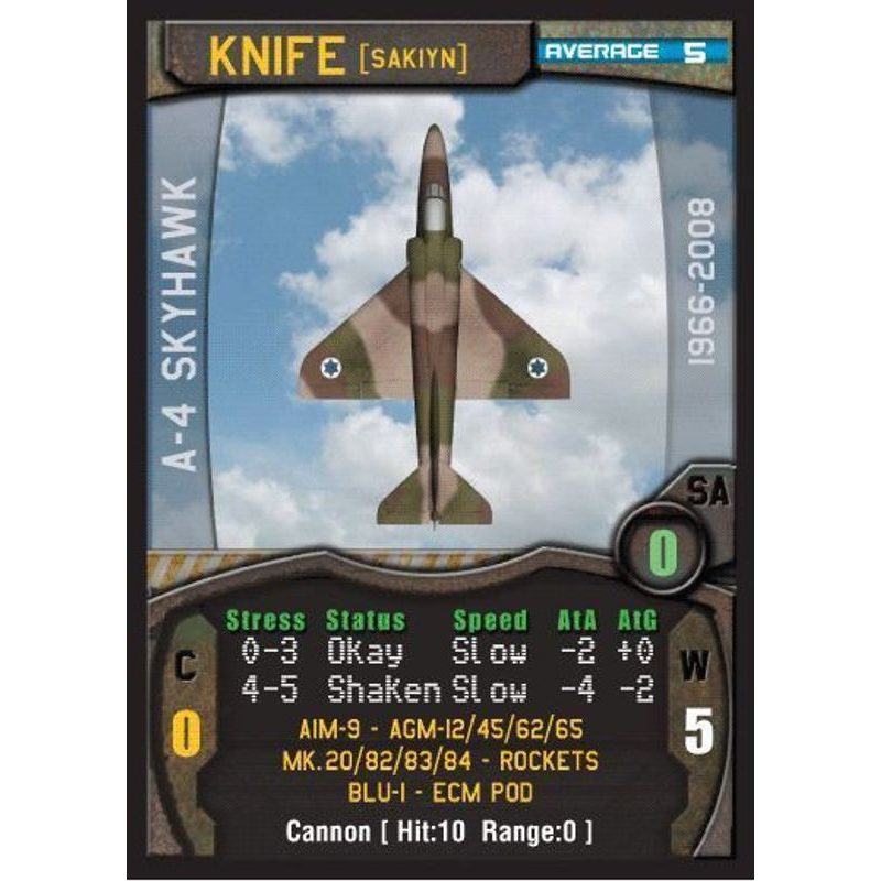 Israeli Air Force Leader