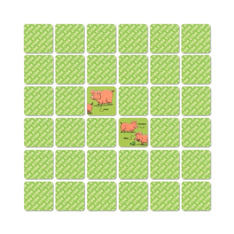 Chytré pexeso: Zvířecí rodina