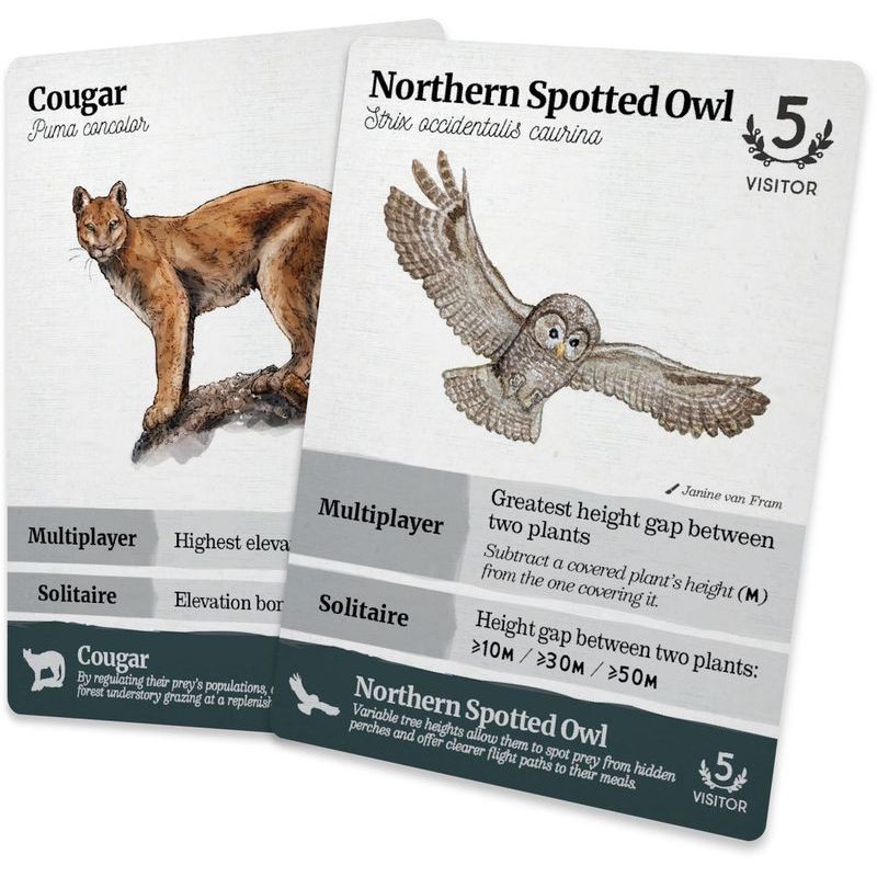 Reforest: Old Growth