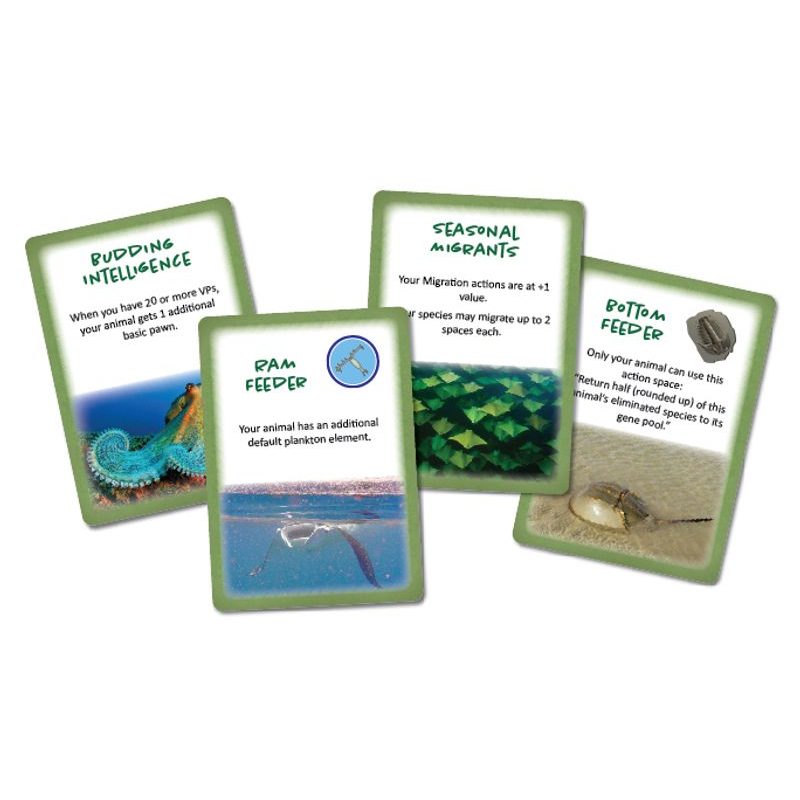 Dominant Species: Marine (EN)