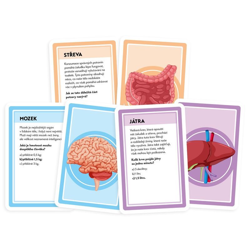 Pojďme se učit: Naše úžasné tělo