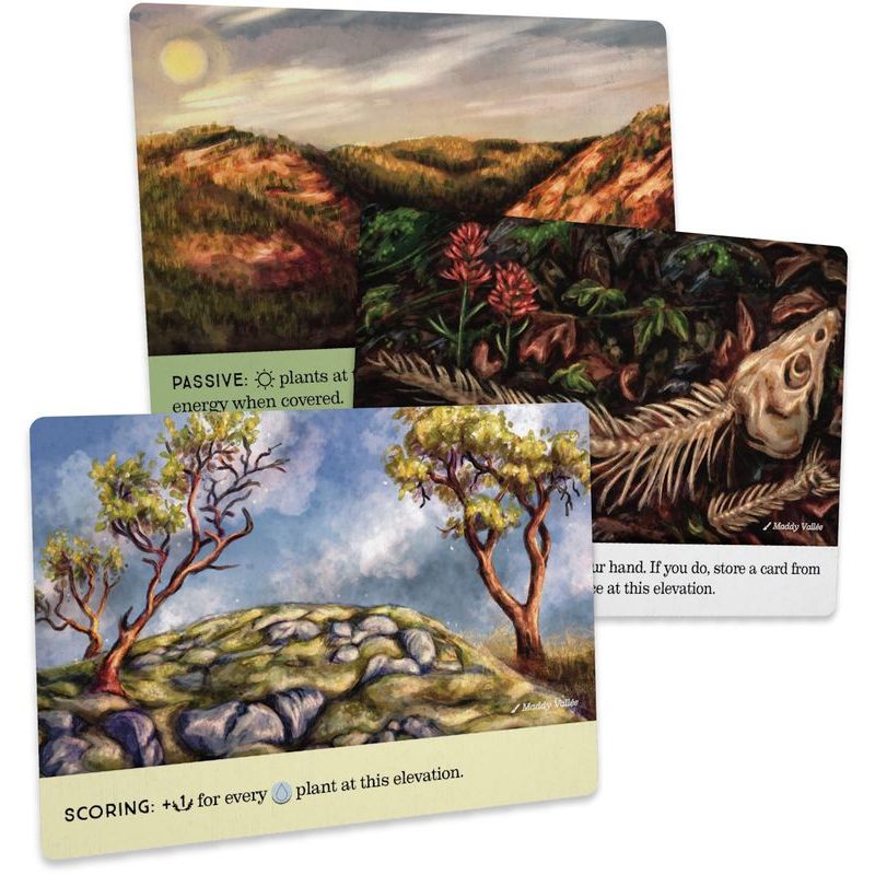 Reforest: Old Growth