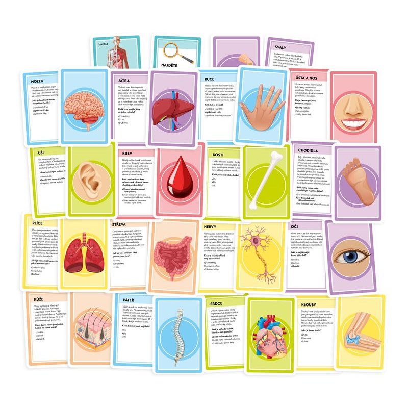 Pojďme se učit: Naše úžasné tělo