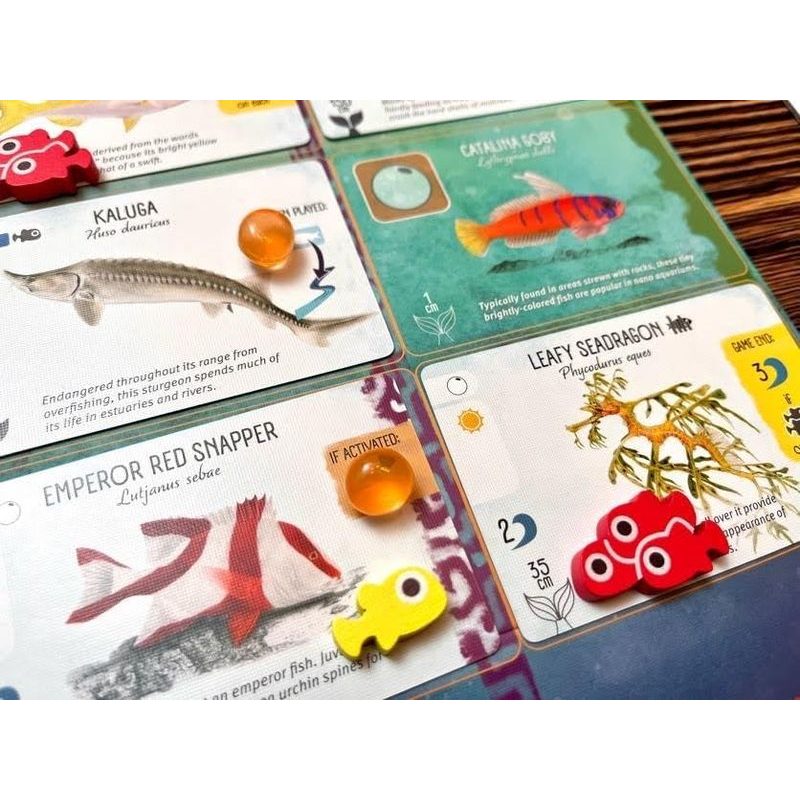 Finspan (Na ploutvích) - Upgrade Pack