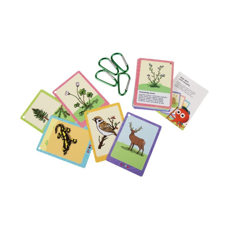 Kvído: Poznávačka přírody - Zvířata a rostliny