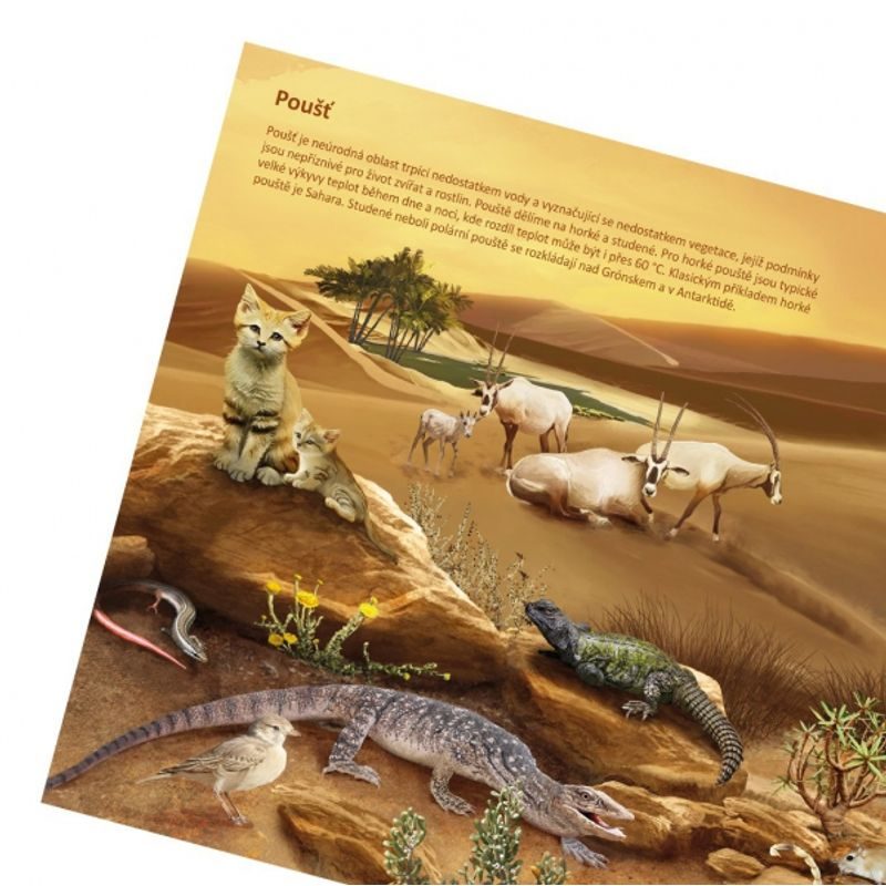 Kouzelné čtení: Svět zvířat (kniha)