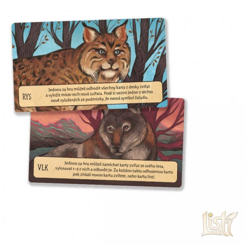 Listí - Medvědí období