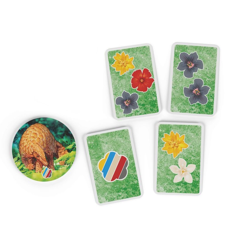 Hutan: Život v pralese