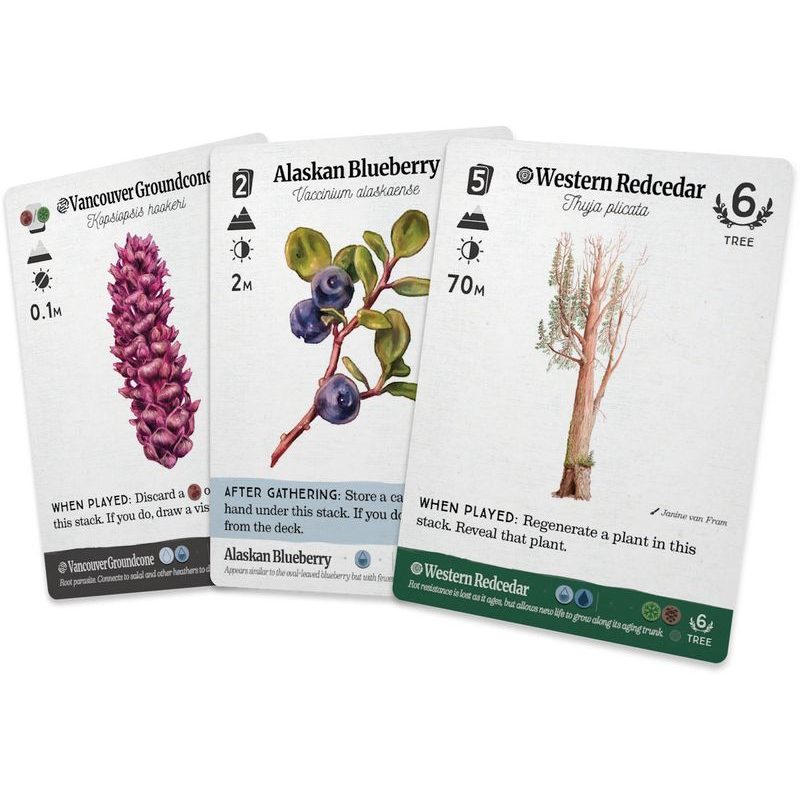 Reforest: Old Growth