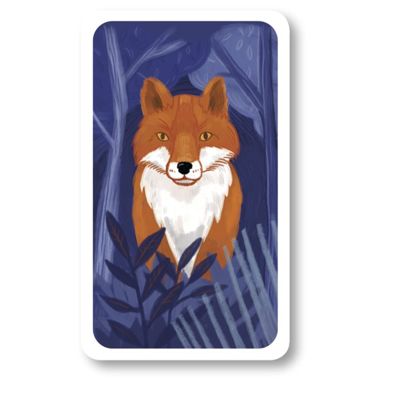 Černý Petr: Zvířátka - papírová krabička