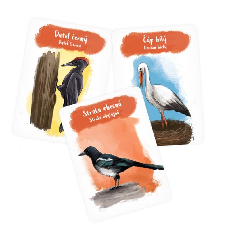 Pidikarty: Opeřenci