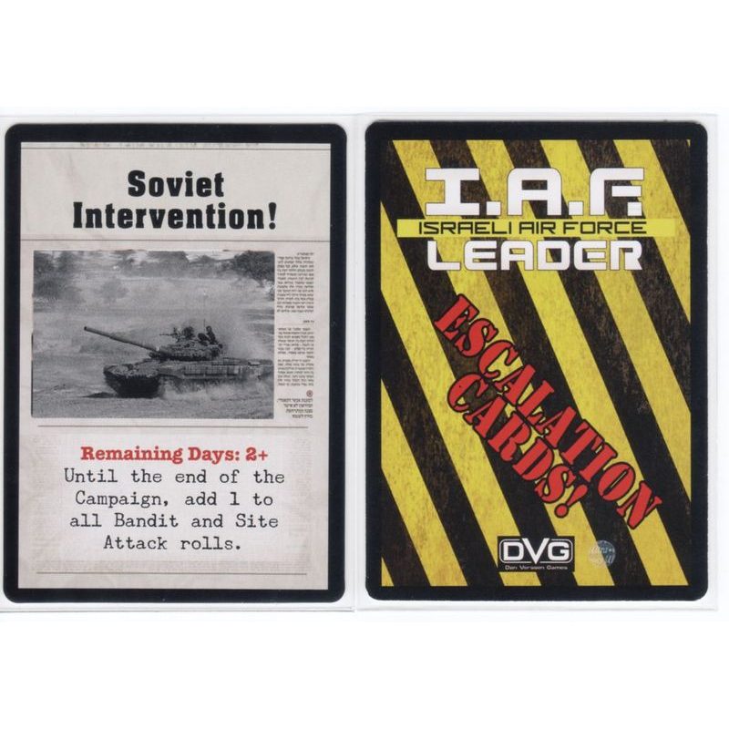 Israeli Air Force Leader