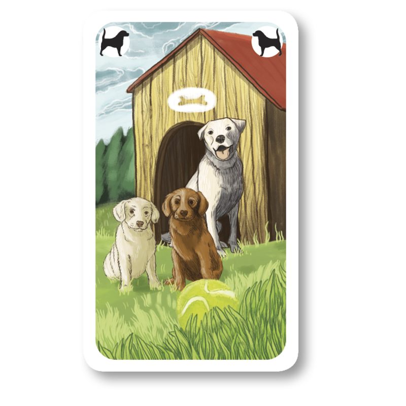 Černý Petr: Zvířátka - plastová krabička