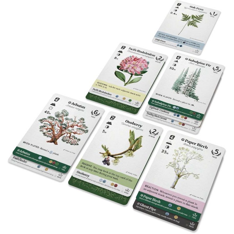 Reforest: Old Growth