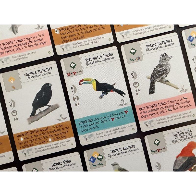 Wingspan - Americas Expansion