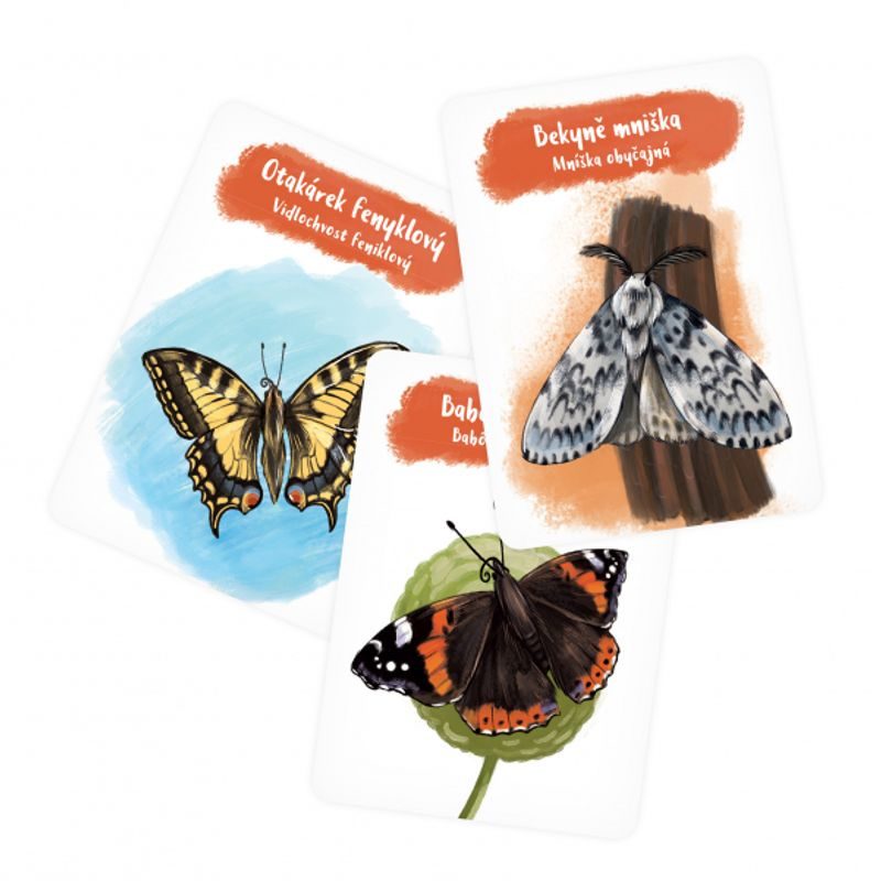 Pidikarty: Motýli