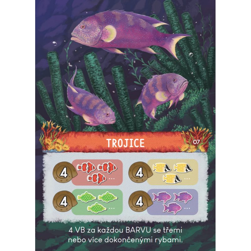 Pod hladinu: Velký bariérový útes