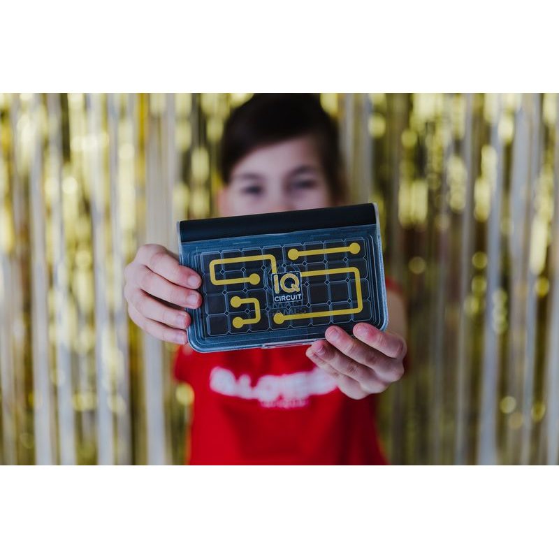 IQ Puzzle Obvody