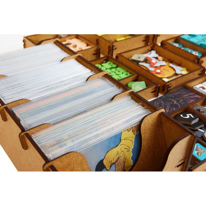 Root - Insert (e-Raptor)