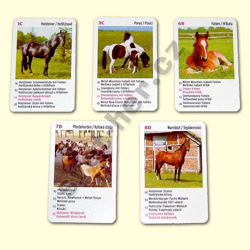 Kvarteto Koně - Piatnik