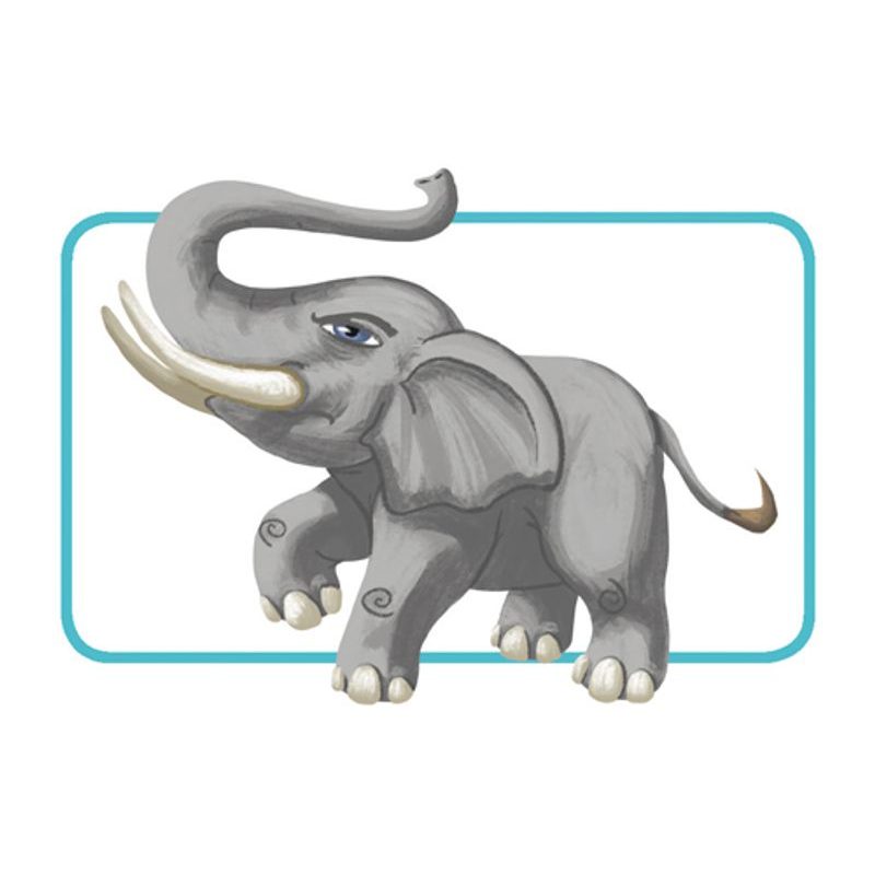 Concept Kids: Animals