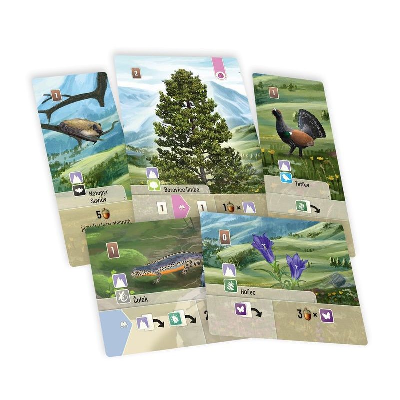 Smíšený les - Alpy