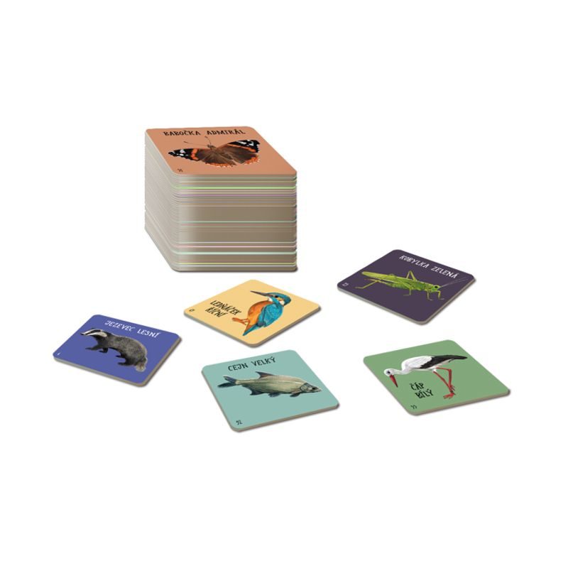 Chytré kostky: Zvířata ČR