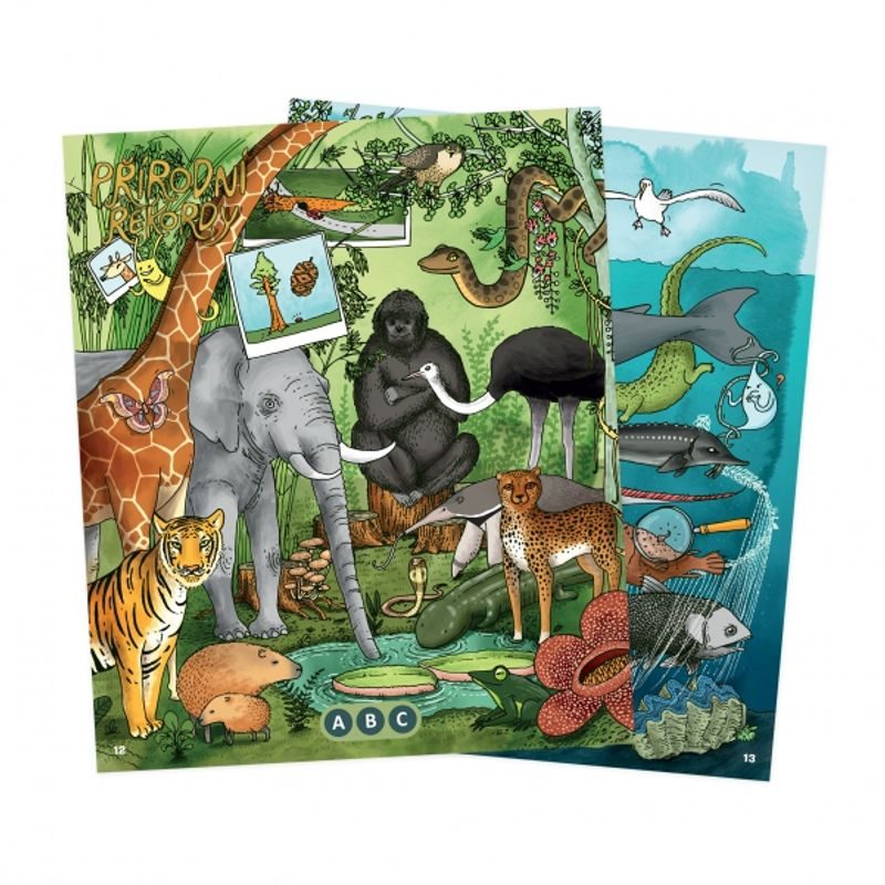 Kouzelné čtení: Encyklopedie pro školáky (kniha)