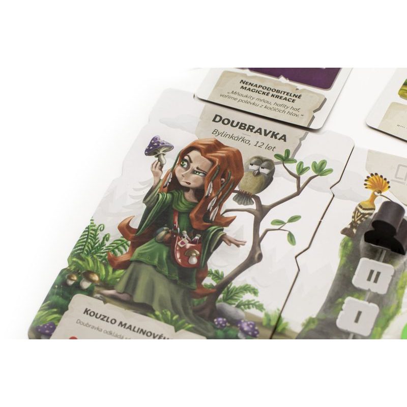 Rytíři a raubíři