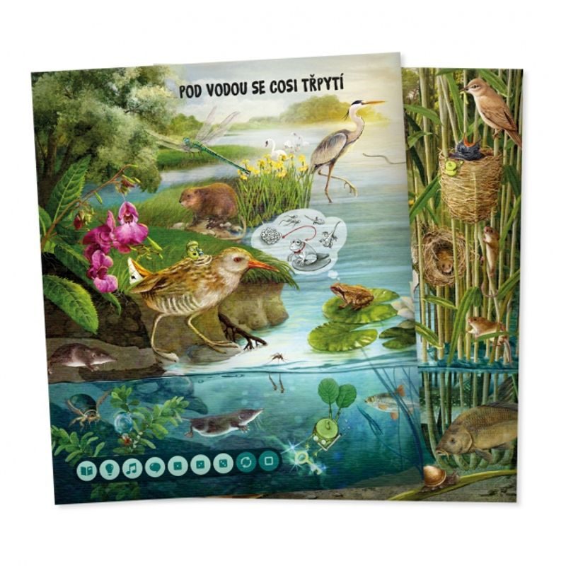 Kouzelné čtení: Hravá přírodověda (kniha)