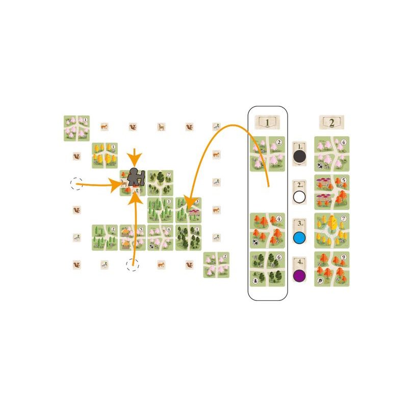 The Three Lined Avenue