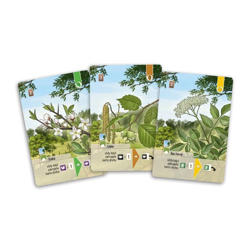 Smíšený les - Pomezí