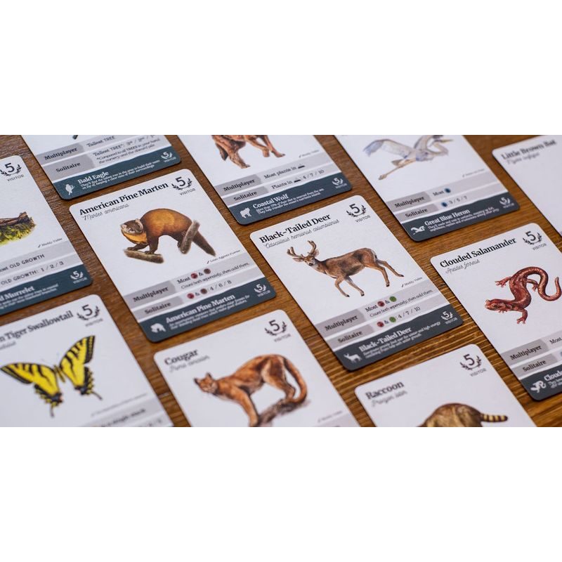 Reforest: Old Growth