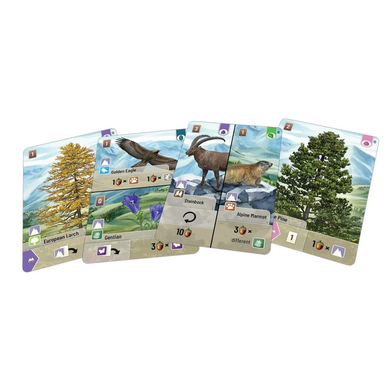 Forest Shuffle - Alpine