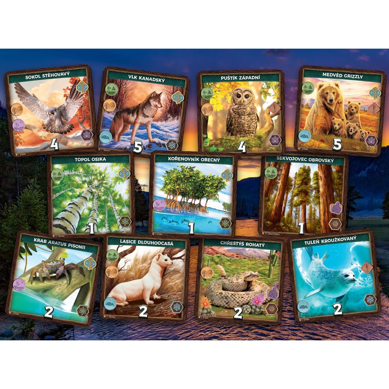 Divočina Severní Ameriky