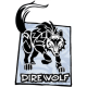 Dire Wolf Digital