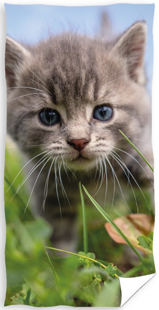 Froté osuška 70x140 cm - Koťátko Tygřík