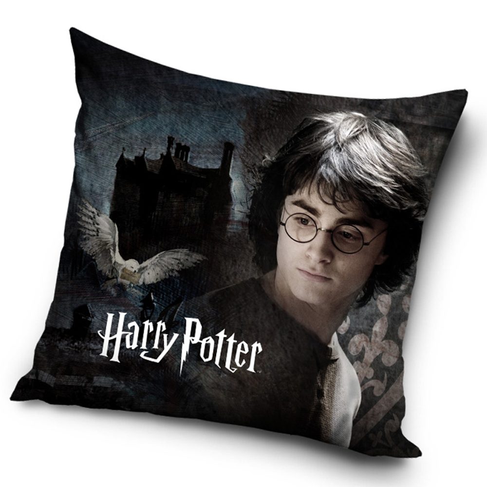 Levně Povlak na polštářek Harry Potter V tajemných Bradavicích
