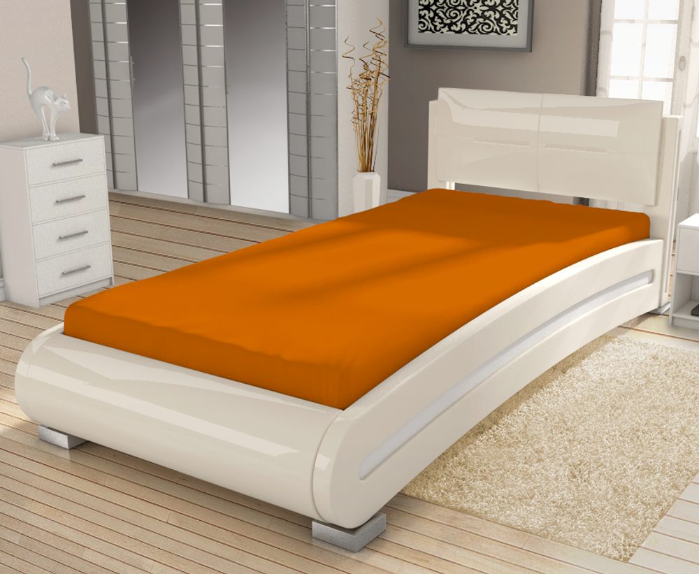 Froté prostěradlo Economy (90 x 200 cm) - Cihlová