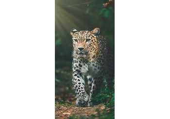 Froté osuška 70x140 cm - Gepard v pralese