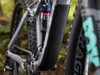 Trek Fuel EX 8 WSD (šedá) 2019