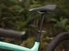 Trek Remedy 9.8 (zelená) 2019